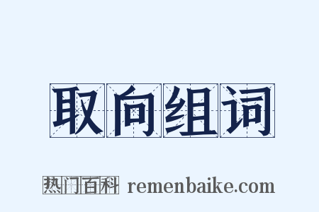 取向组词是什么意思的图片